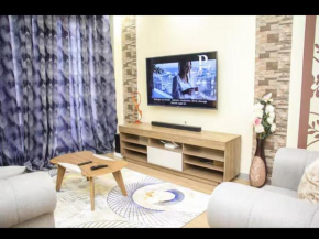 modern retreat apartment with heated swimming fully equipped gym private parking space and a relaxing rooftop with amazing city views